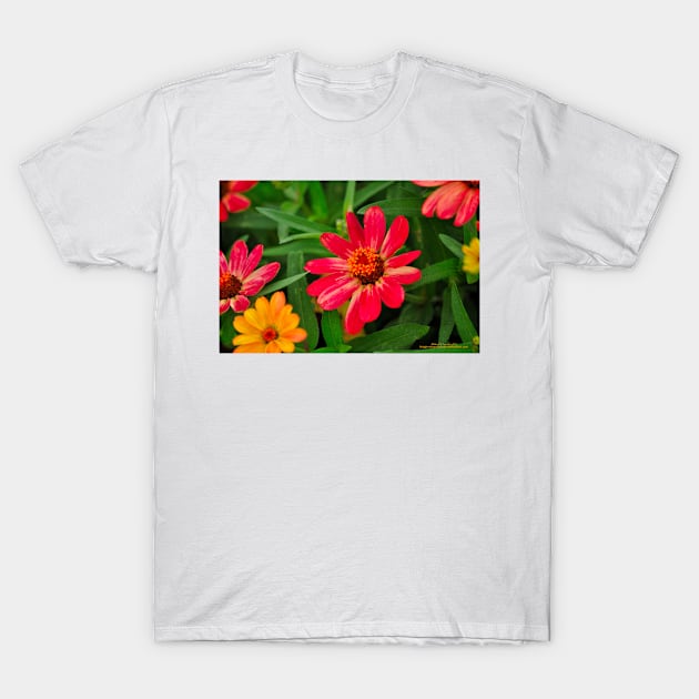 Healing Smiles T-Shirt by michaelasamples